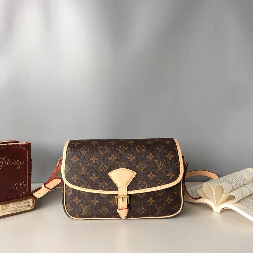 Replica Louis Vuitton Sologne Monogram Shoulder Bag – Vintage-Inspired Crossbody Design cover image