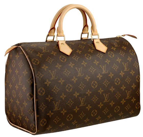 Reference image illustrating 5 Reasons Everyone Should Own a Louis Vuitton Speedy Bag
