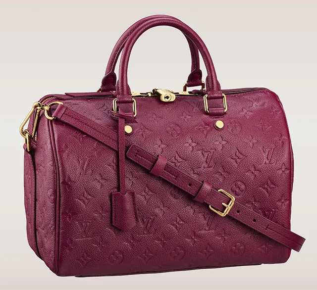 Reference image illustrating 5 Reasons Everyone Should Own a Louis Vuitton Speedy Bag