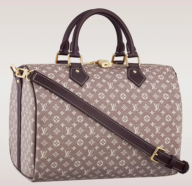 Reference image illustrating 5 Reasons Everyone Should Own a Louis Vuitton Speedy Bag