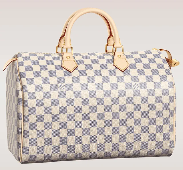 Reference image illustrating 5 Reasons Everyone Should Own a Louis Vuitton Speedy Bag