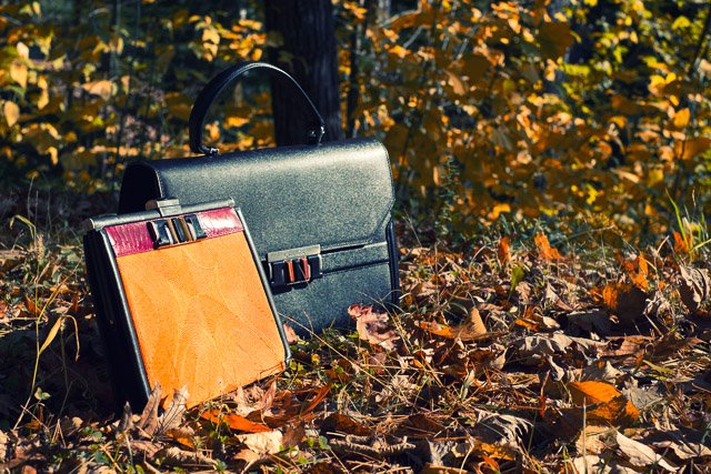 Reference image illustrating A Thanksgiving Reflection: Gratitude, Autumn Style, and Oscar de la Renta Accessories
