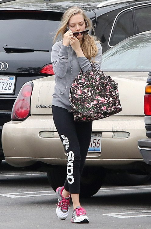 Reference image illustrating Amanda Seyfried’s Givenchy Floral Nightingale Bag: A High-Low Moment in West Hollywood