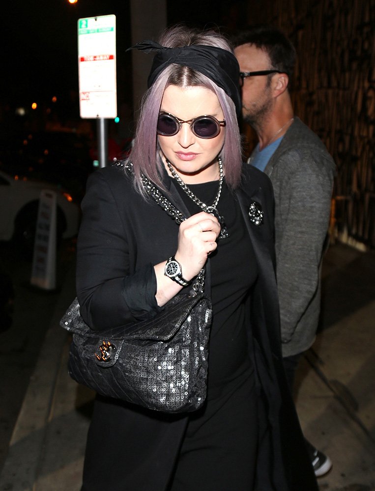 Reference image illustrating Celebrity Fall Handbag Watch: Chloé, Miu Miu, and Dior Styles Spotted This Week