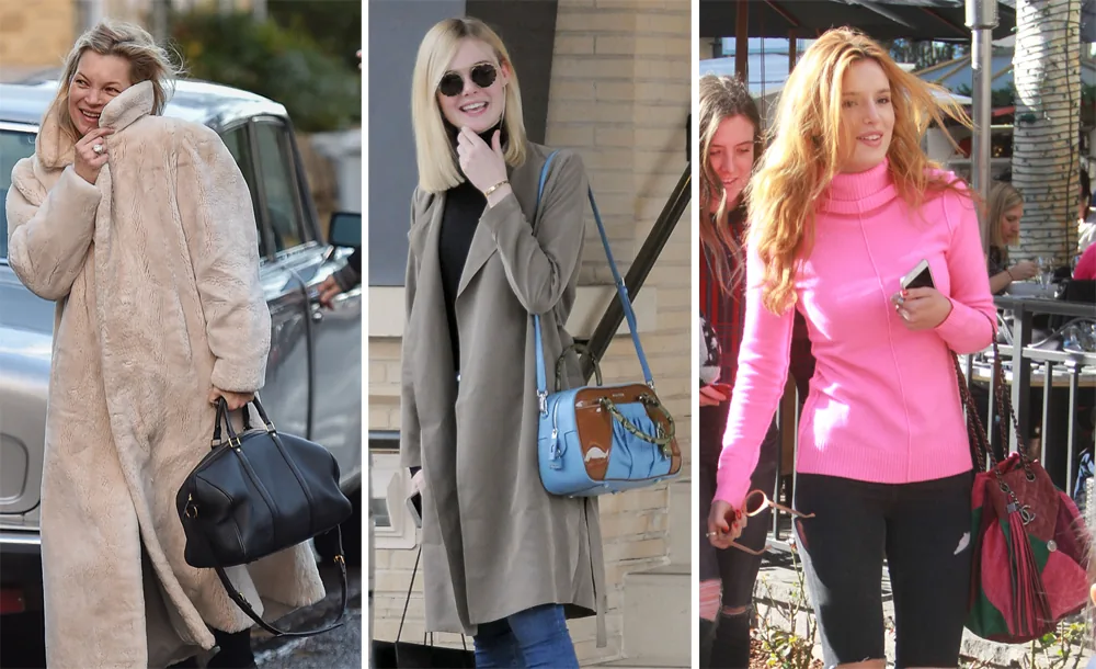 Reference image illustrating Celebrity Handbag Sightings: 8 A-List Collectors and Their Coveted Bags from Late 2015