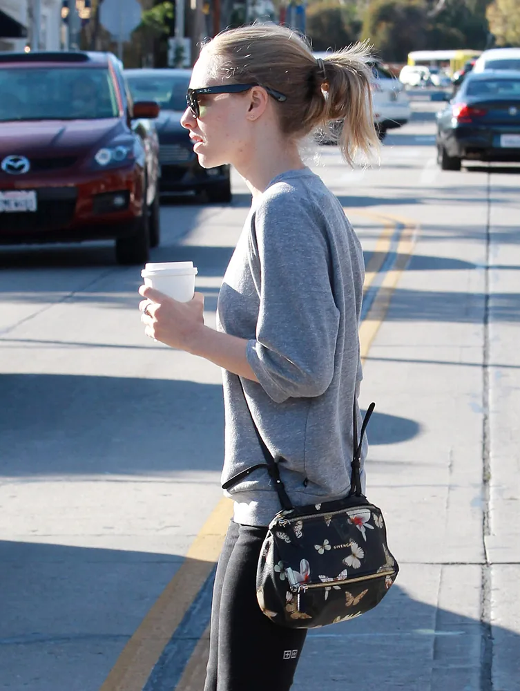 Reference image illustrating Celebrity Handbag Sightings: 8 A-List Collectors and Their Coveted Bags from Late 2015