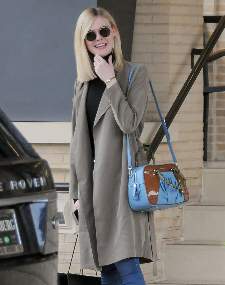 Reference image illustrating Celebrity Handbag Sightings: 8 A-List Collectors and Their Coveted Bags from Late 2015