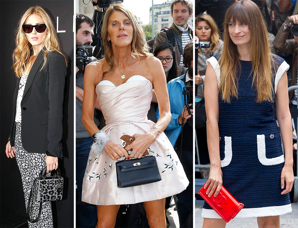 Reference image illustrating Celebrity Handbags Spotted at Paris Couture Week Fall 2014: Dior, Chanel, and More