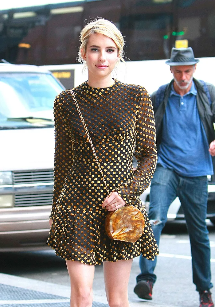 Reference image illustrating Celebrity Vintage and Exotic Handbag Sightings: Chloé, Dior, Hermès, and More