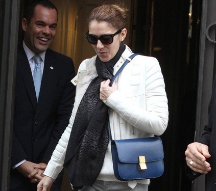 Celine Dion’s Navy Celine Classic Box Bag: A Parisian Street Style Moment cover image
