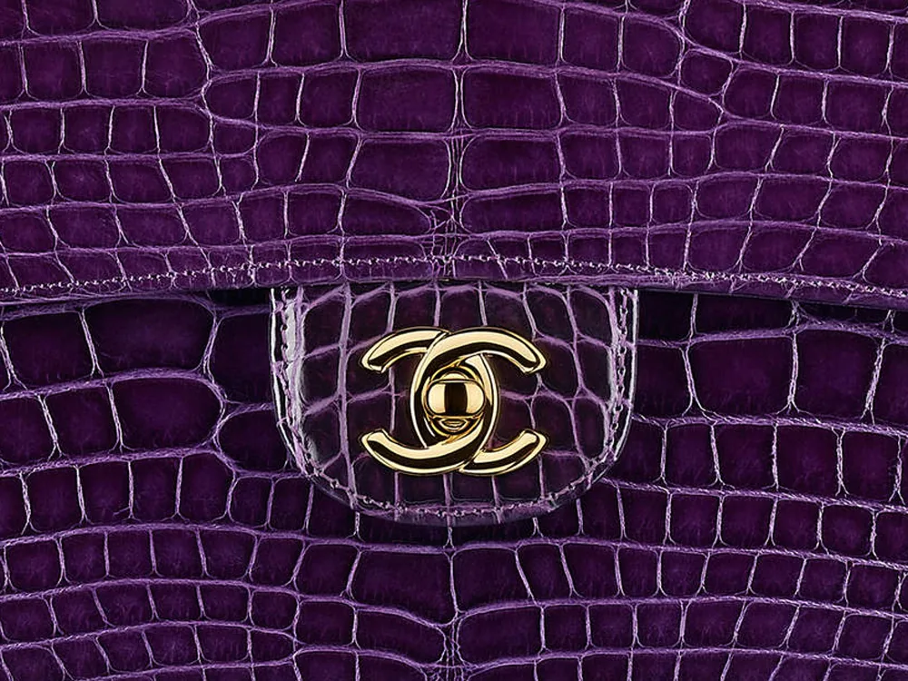 Reference image illustrating Chanel Pre-Collection Fall 2016: 64 New Handbags Featuring Tweed, Python, and Classic Flap Styles