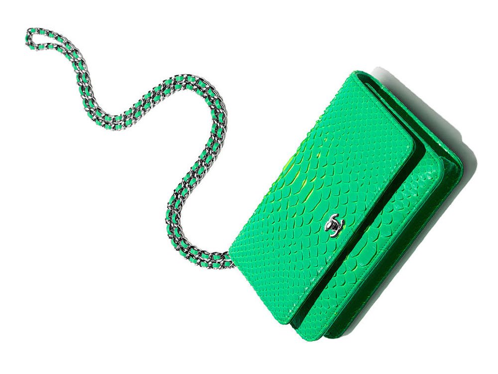 Reference image illustrating Chanel Spring 2017 Wallets, WOCs, and Accessories: A Complete In-Store Guide