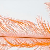 Clear Clutch Handbags: Save, Spend, or Splurge on Lucite Evening Bags cover image
