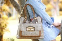 Reference image illustrating Coach Kristin Collection Review: Embossed Leather, Chain Straps & Clutch Styles