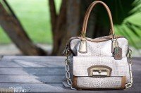 Reference image illustrating Coach Kristin Collection Review: Embossed Leather, Chain Straps & Clutch Styles