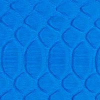 Emilio Pucci Neon Python Accessories: Bold Snakeskin for iPad, iPhone, and Passport cover image