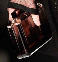Reference image illustrating Fendi Spring 2010 Handbags: Peekaboo, Perspex Clutches & Selleria Leather