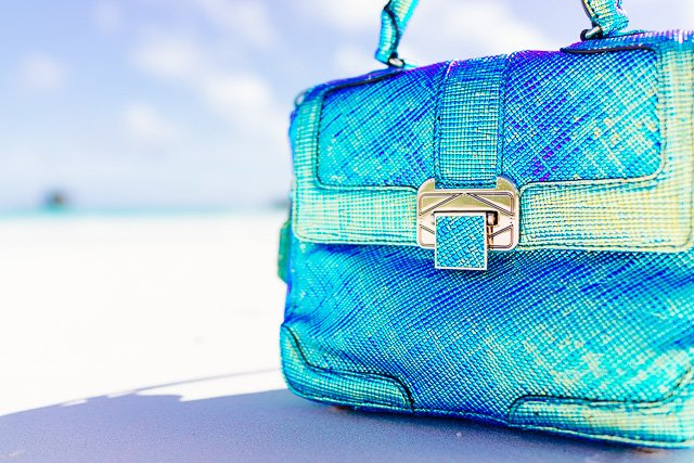Reference image illustrating Iconic Handbag Photography of 2013: A Visual Retrospective of Luxury Bags