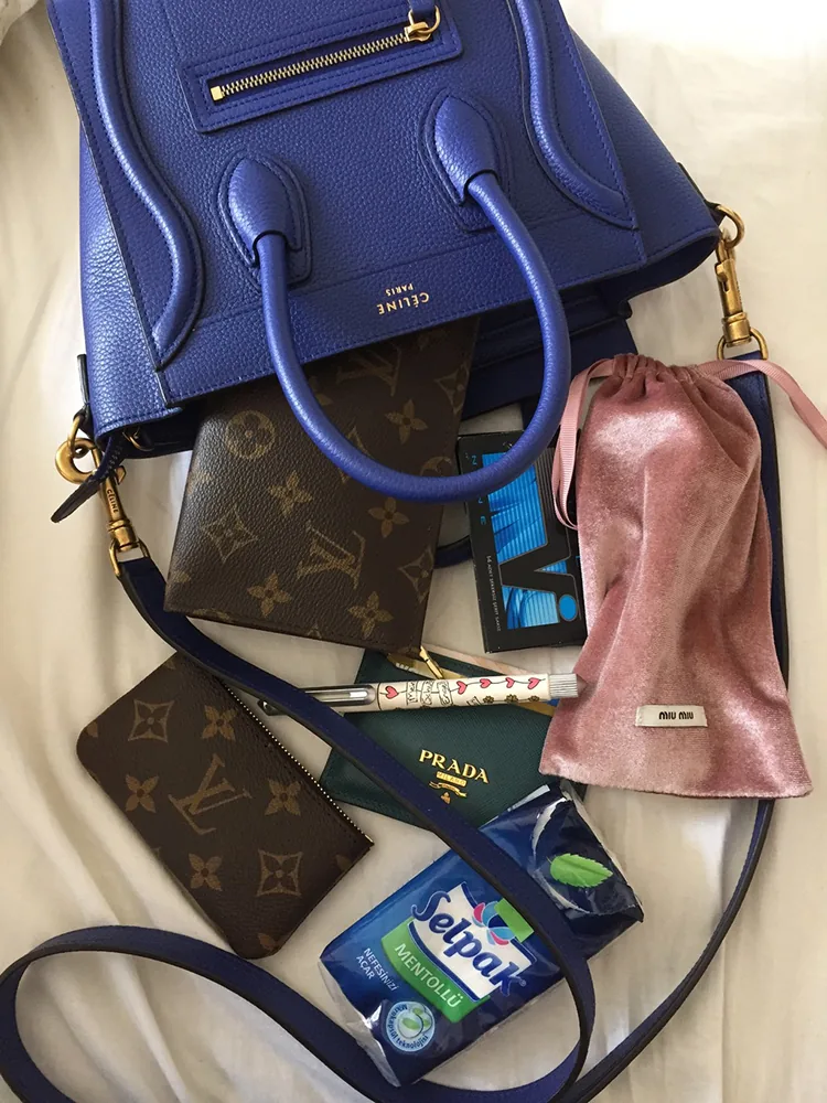 Reference image illustrating Inside the Bag: Céline, Hermès, Chanel & More – PurseForum Roundup Highlights