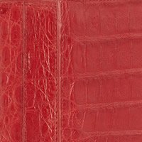 Reference image illustrating January Birthstone Handbags: 9 Garnet-Colored Luxury Bags for a Birthday Gift