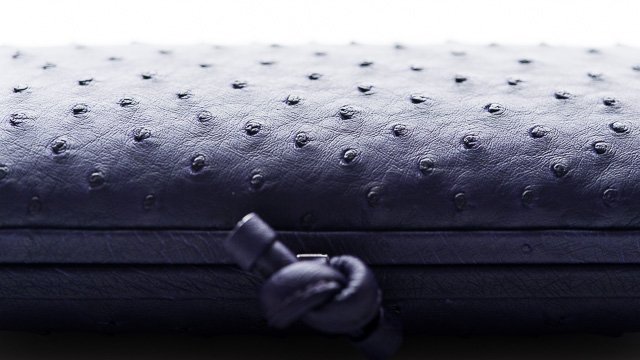 Reference image illustrating January Handbag Haul: Special Order Bottega Veneta Knot Clutch & More Luxury Finds