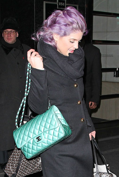 Reference image illustrating Kelly Osbourne's Handbag Collection: Chanel, Hermès, and Beyond