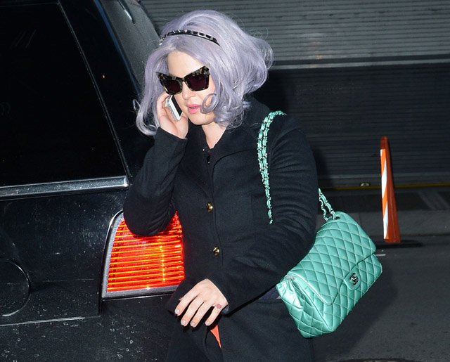 Reference image illustrating Kelly Osbourne's Rare Pearlized Seafoam Chanel Classic Flap: A Collector's Mystery