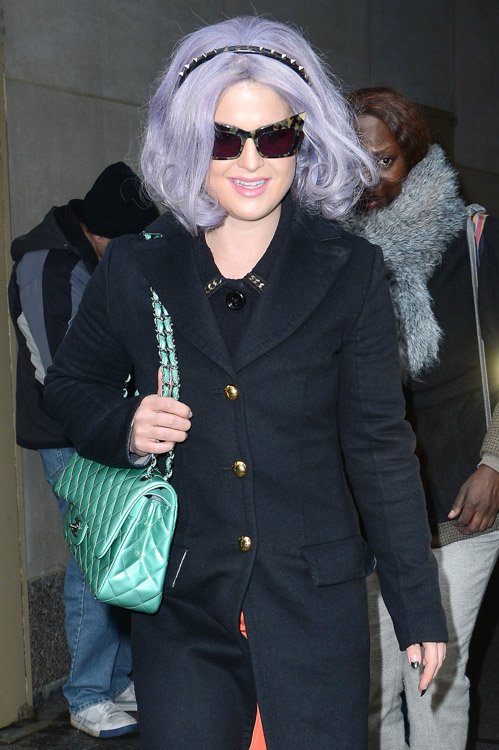 Reference image illustrating Kelly Osbourne's Rare Pearlized Seafoam Chanel Classic Flap: A Collector's Mystery