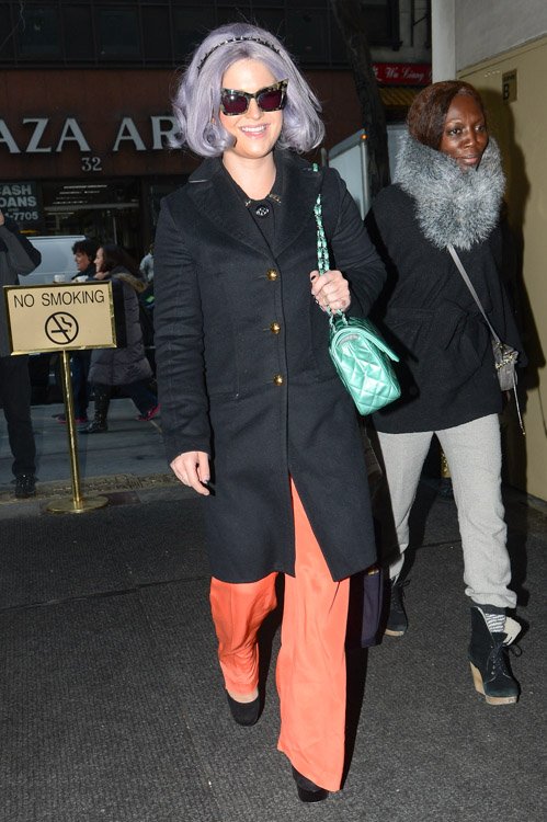 Reference image illustrating Kelly Osbourne's Rare Pearlized Seafoam Chanel Classic Flap: A Collector's Mystery