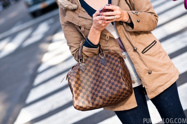 Reference image illustrating Louis Vuitton Damier Ebene Speedy 30 Review: Iconic Shape Meets Practical Trade-Offs