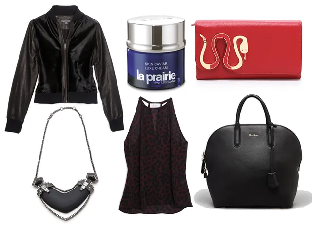 Reference image illustrating Luxury Handbag Wish List: MaxMara Satchel, Botkier Hobo & More for November