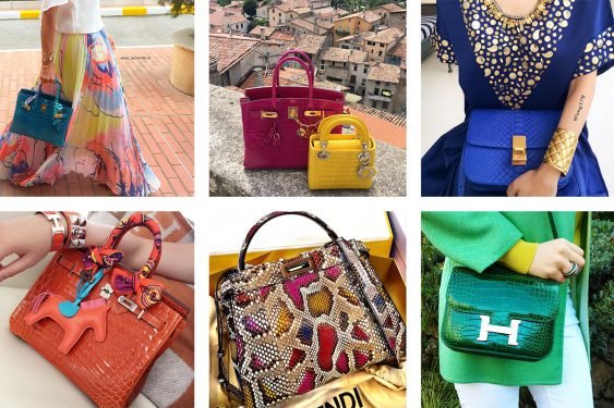 Rare Exotic Handbags on Instagram: A Collector’s Guide to Croc, Python & Ostrich Bags cover image