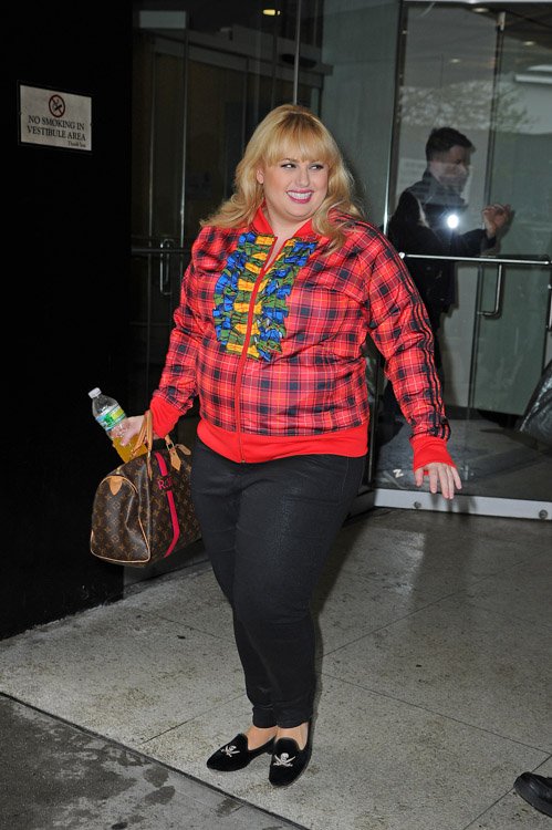 Reference image illustrating Rebel Wilson’s Personalized Louis Vuitton Mon Monogram Speedy 30 Steals the Spotlight in NYC