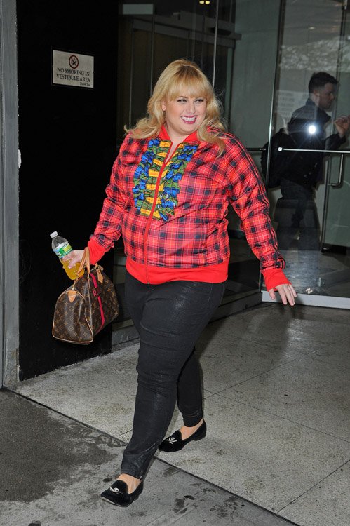 Reference image illustrating Rebel Wilson’s Personalized Louis Vuitton Mon Monogram Speedy 30 Steals the Spotlight in NYC