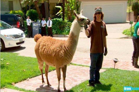 Reference image illustrating RHOBH Recap: Unicorn Parties, Llama Drama, and the Handbags We Spotted