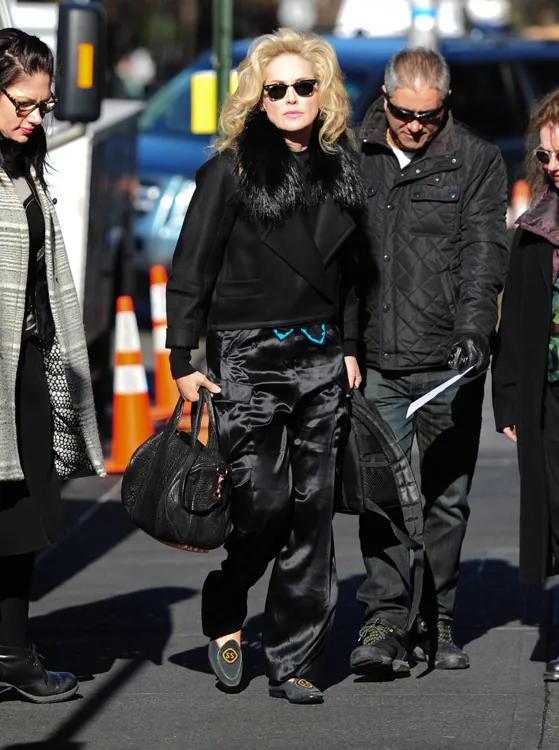 Reference image illustrating Sharon Stone Spotted with Alexander Wang Rocco Duffel on the Set of Fading Gigolo