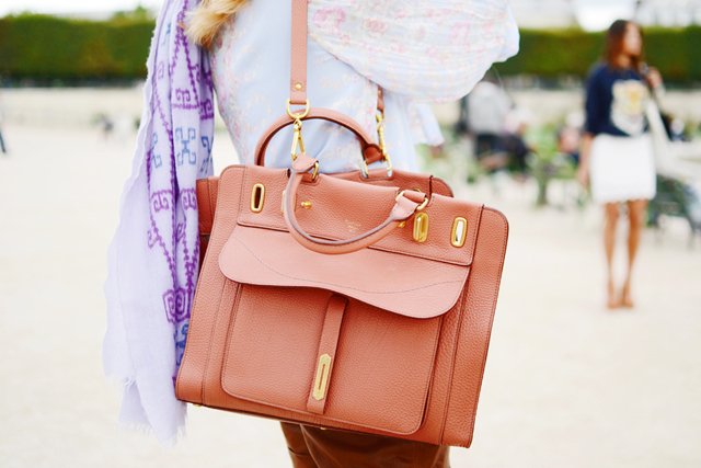 Reference image illustrating Street Style Bags Spotted at Paris Fashion Week: A Curated Gallery
