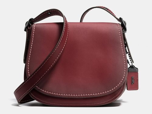 The Ultimate Fall Handbag Guide: Why the Coach Saddle Bag and Burgundy Tones Are Trending This Season cover image