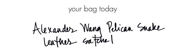 Reference image illustrating What a Luxury Handbag Expert Carries: Inside THE OUTNET VP Shira Suveyke’s Bag