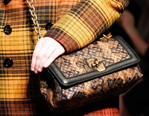 Bottega Veneta Fall 2017 Runway Bags: Ultra-Luxe Classics for Men and Women thumbnail