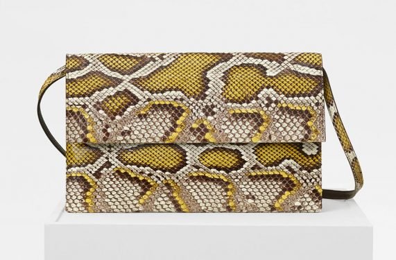 Céline Fall 2017 Accessories: New Mini Crossbodies, Folded Clutches, and Wallets to Organize Your Purse thumbnail