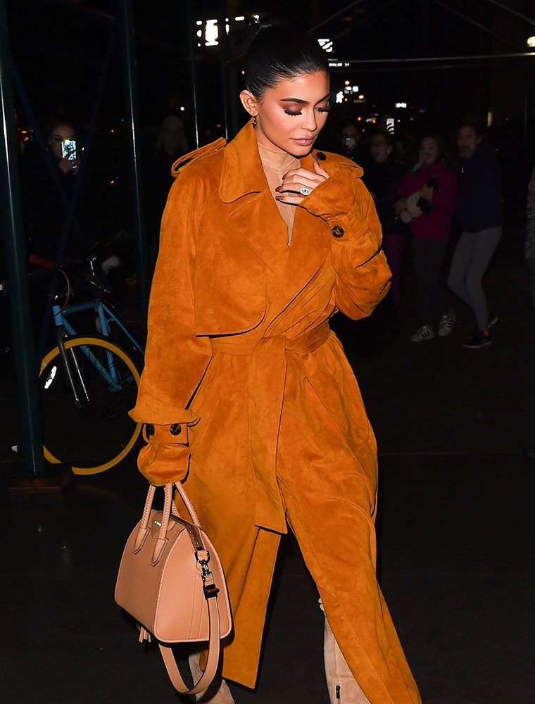Reference image illustrating Celebrities Embrace Sculptural Handbags: Victoria Beckham, Givenchy, and Miu Miu Lead NYFW Street Style