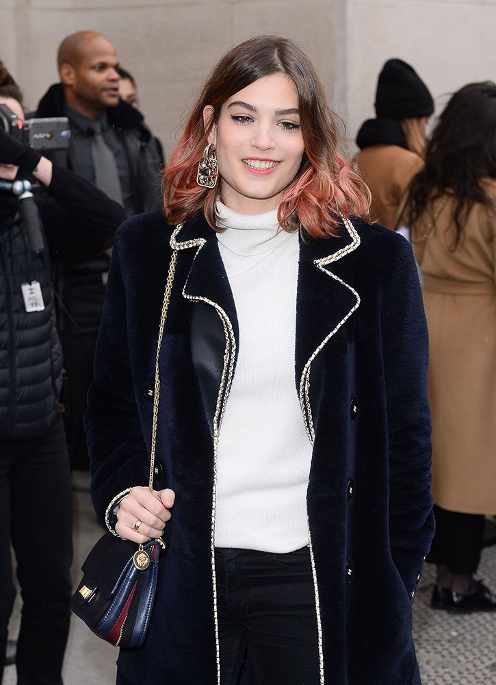 Reference image illustrating Celebrity Handbag Highlights from Paris Haute Couture Week Spring 2017