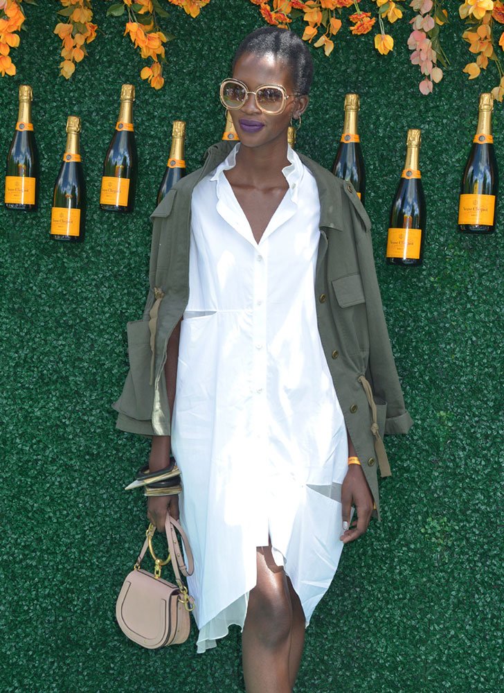 Reference image illustrating Celebrity Handbags at the 2017 Veuve Clicquot Polo Classic: Gucci, Chloé & More