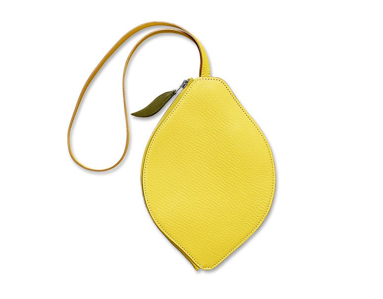 Reference image illustrating Decoding the Hermès Hermail Tutti-Frutti Citron Bag: Whimsy Meets Luxury Craftsmanship