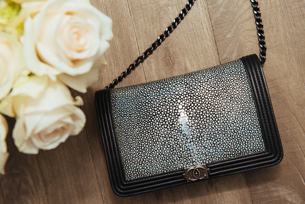 Reference image illustrating What Fits: Chanel WOC (Wallet On Chain) Bag