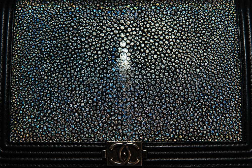 Reference image illustrating What Fits: Chanel WOC (Wallet On Chain) Bag