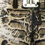 Reference image illustrating 9 Standout Animal Print Handbags to Elevate Your Fall Wardrobe