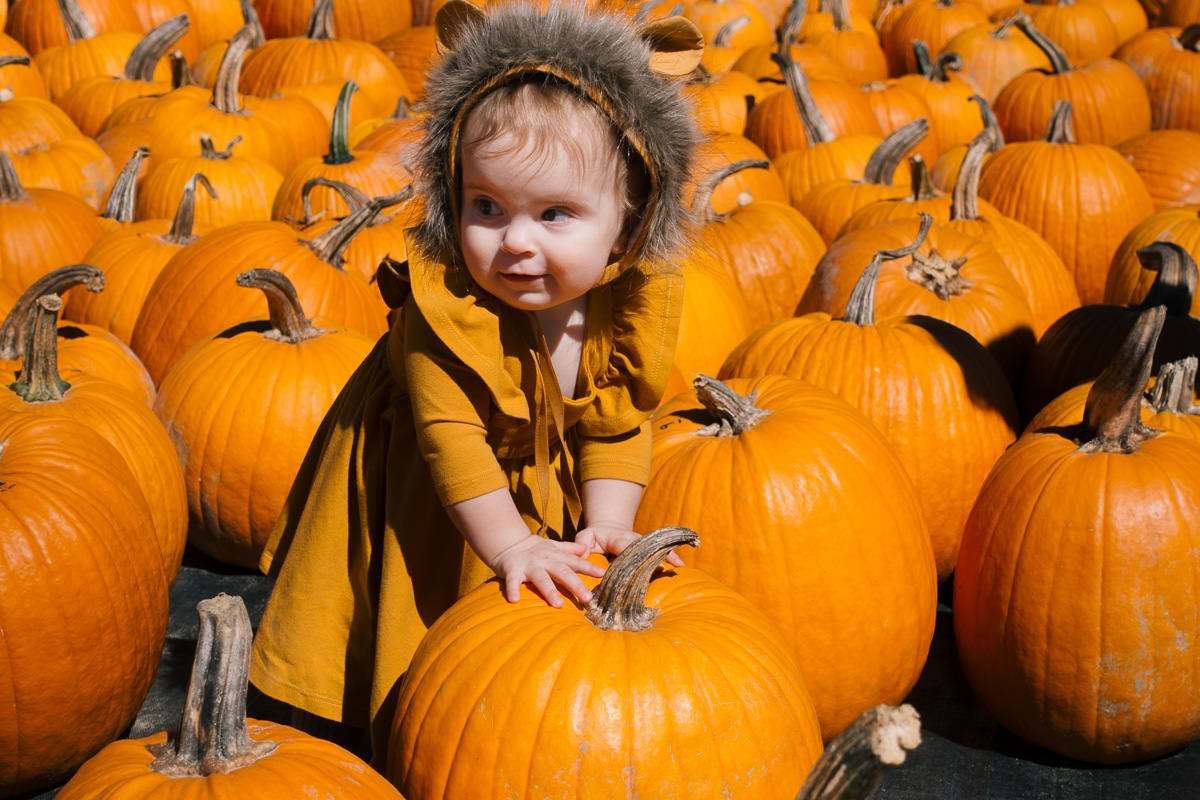 Reference image illustrating A Mother’s Letter to Her 11-Month-Old: Milestones, Allergies, and First Vacation