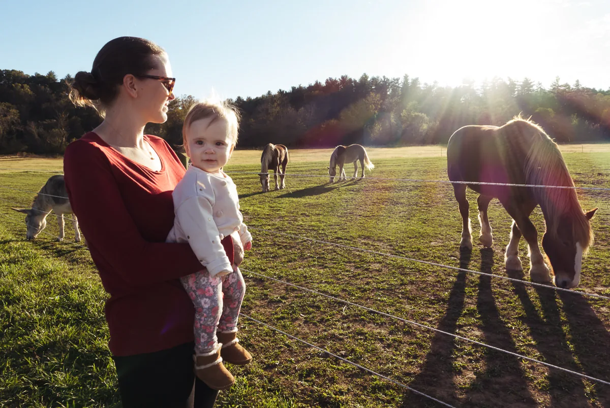 Reference image illustrating A Mother’s Letter to Her 11-Month-Old: Milestones, Allergies, and First Vacation